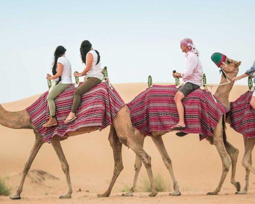Camel Dubai desert dune image