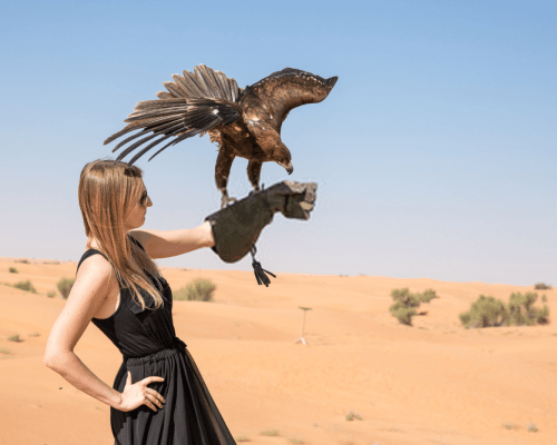 Girl with Falcon In Dubai desert dune image