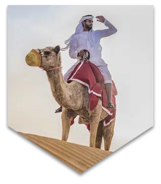 Dubai desert dune camel ride packages