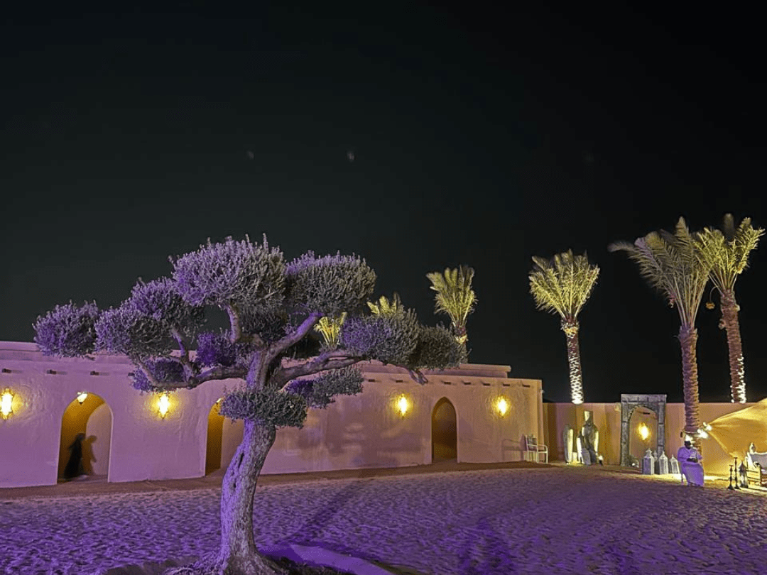 Dubai desert dune tree image