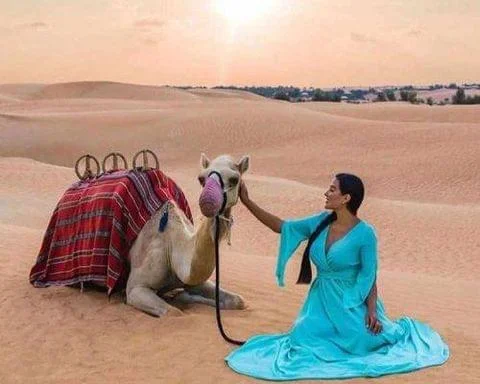 Dubai Desert Dune | Best Dubai Safari | AED 50